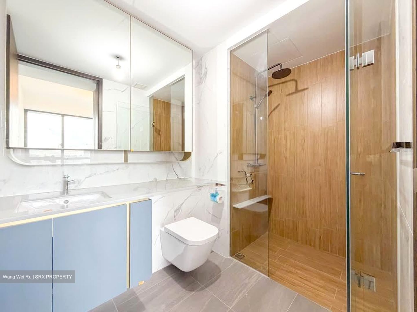Amo Residence (D20), Apartment #556846601